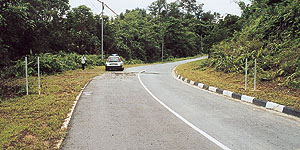 A road with poles but no signboards