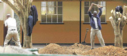 Beaten on their hands and made to dig trees: Swazi high school students