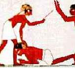 section of flogging picture